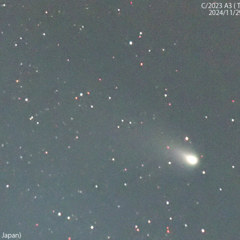 1000mmで撮影した紫金山-アトラス彗星：2024/11/29
