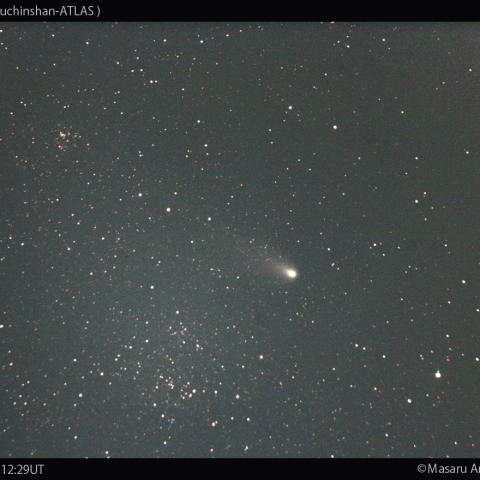 1000mmで撮影した紫金山-アトラス彗星：2024/11/30