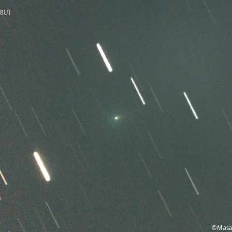 リニア彗星( 333P ):2024/11/25
