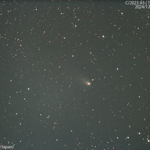 1000mmで撮影した紫金山-アトラス彗星：2024/12/05