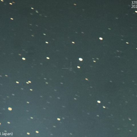 フォーブズ彗星 ( 37P ):2024/12/09