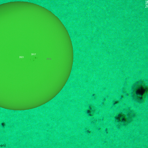 活動領域 3917,39121：2024/12/11