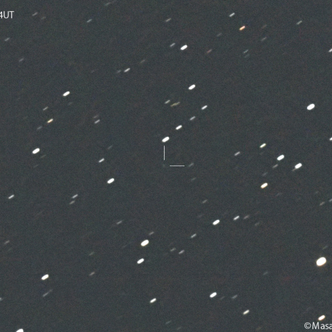 ヒル彗星 ( 496P ):2024/11/28