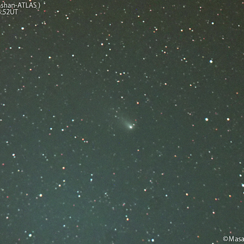 1000mmで撮影した紫金山-アトラス彗星：2024/12/19