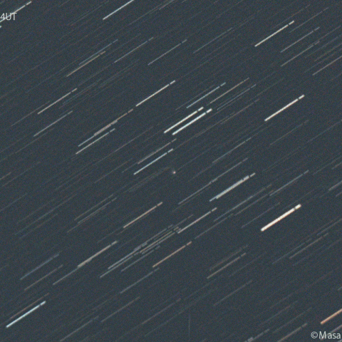 リニア彗星( 333P ):2024/12/19