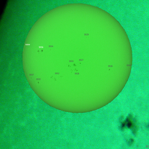 活動領域3936：2024/12/24
