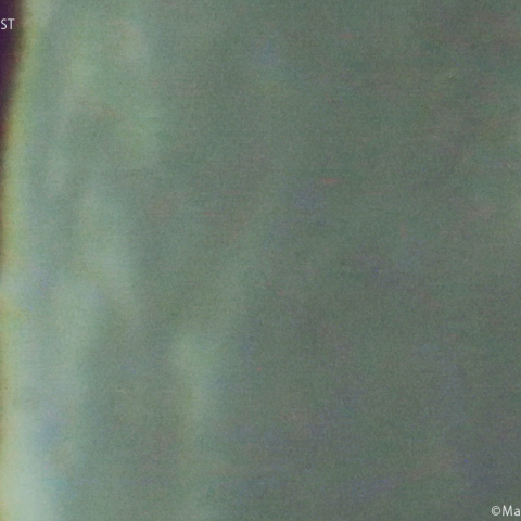 スピカ食 ( 潜入 )：2024/12/25