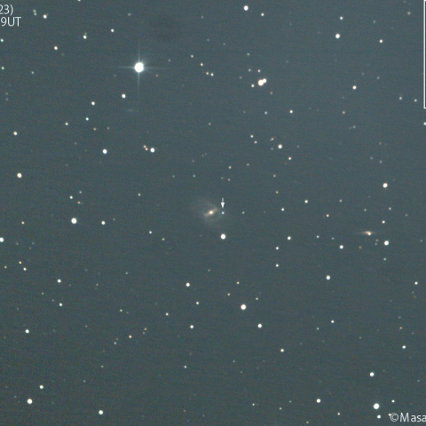 NGC2523に出現した超新星2024aeee:2024/12/22