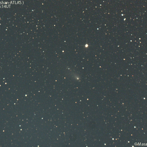 1000mmで撮影した紫金山-アトラス彗星：2024/12/26
