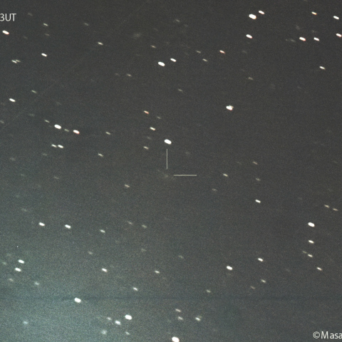 フォーブズ彗星 ( 37P ):2024/12/29
