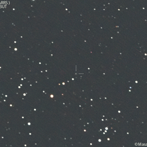 パンスターズ彗星( C/2023Q1 )：2025/1/8