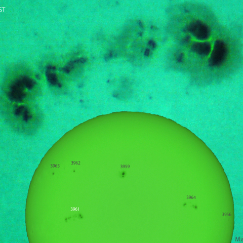 活動領域 3961：2025/01/18