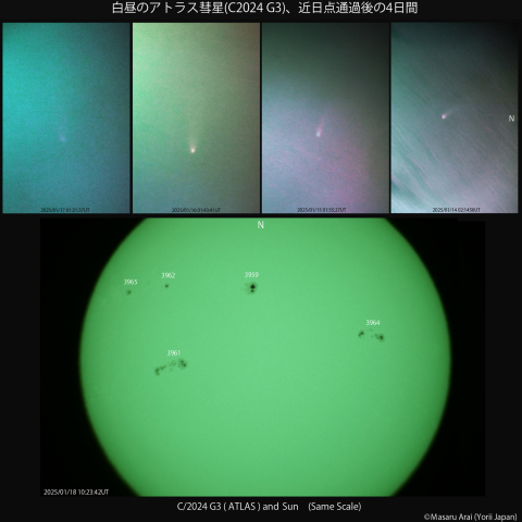白昼のアトラス彗星、近日点通過後の4日間：2025/01/14～17