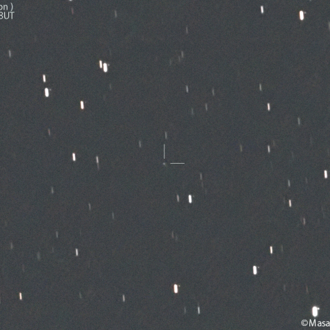 レモン彗星( C/2023H5 )：2025/1/10