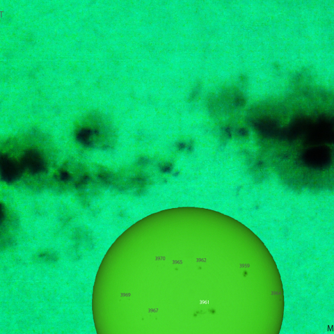 活動領域 3961：2025/01/21