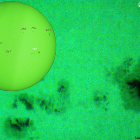 活動領域 3961：2025/01/23