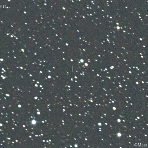 ボーク彗星 (C/2022 U3):2025/01/08