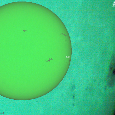 活動領域 3961：2025/01/26