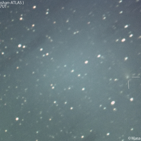 明け方の紫金山-アトラス彗星：2025/01/26