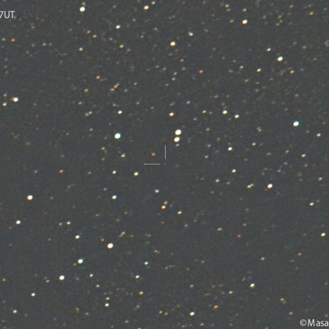 明け方のオルバース彗星(13P):2025/01/27