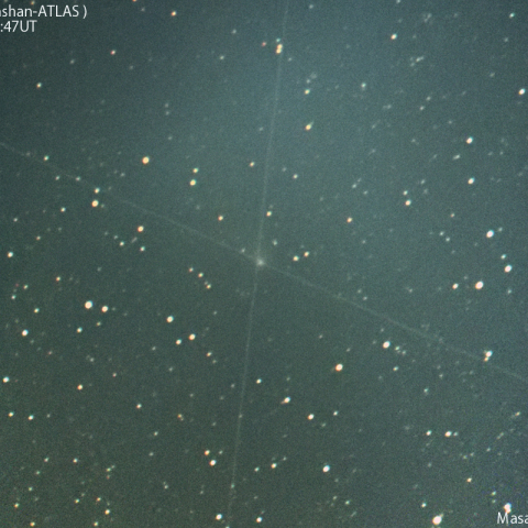 明け方の紫金山-アトラス彗星：2025/01/27