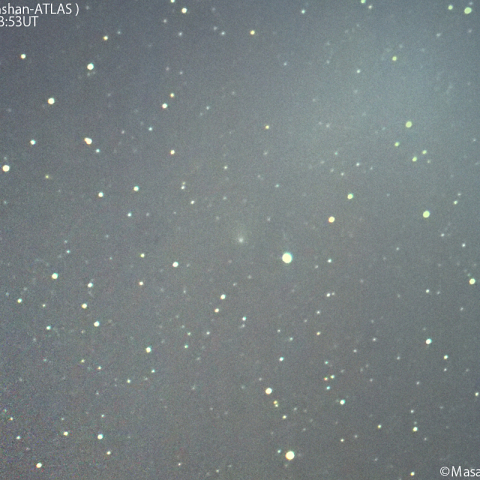 明け方の紫金山-アトラス彗星：2025/01/30