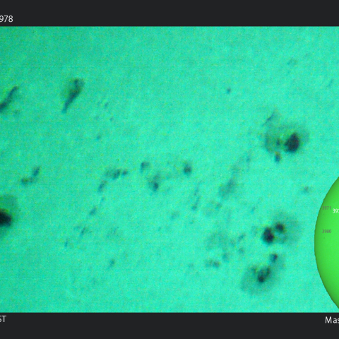 活動領域 3976,3977,3978：2025/01/31