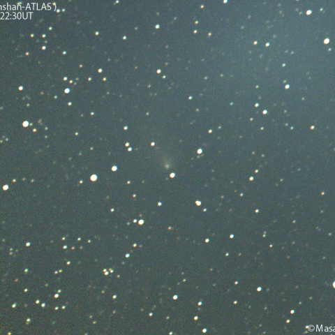 明け方の紫金山-アトラス彗星：2025/01/31