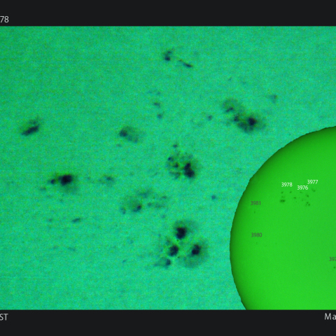 活動領域 3976,3977,3978：2025/02/01