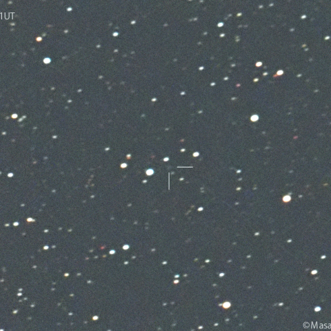 明け方のオルバース彗星(13P):2025/01/30