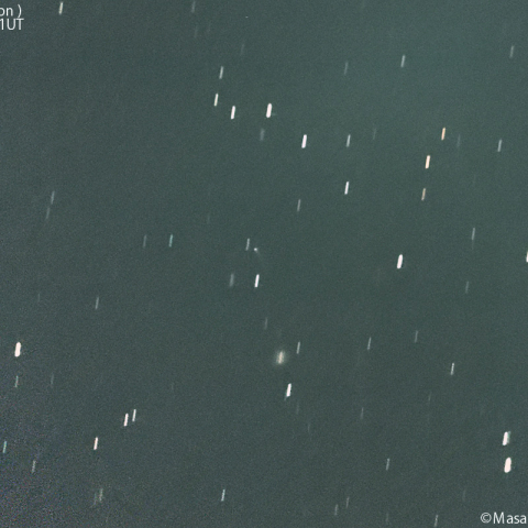 レモン彗星( C/2023H5 )：2025/1/31