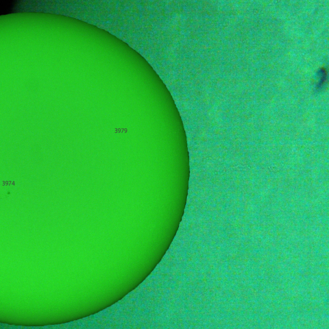 活動領域 3981：2025/02/01 