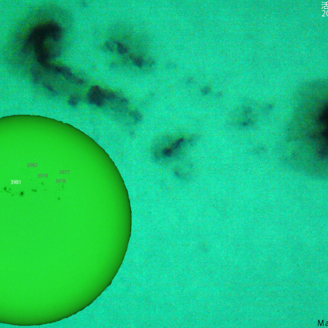 活動領域 3981：2025/02/04
