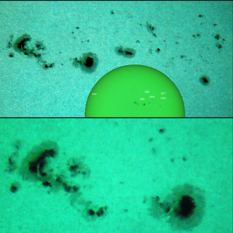 活動領域 3981他：2025/02/05