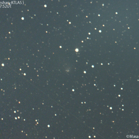 明け方の紫金山-アトラス彗星：2025/02/05