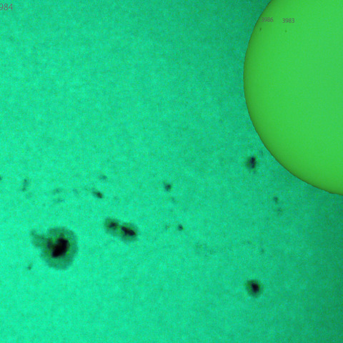 活動領域 3976,3977,3978,3981,3984：2025/02/06