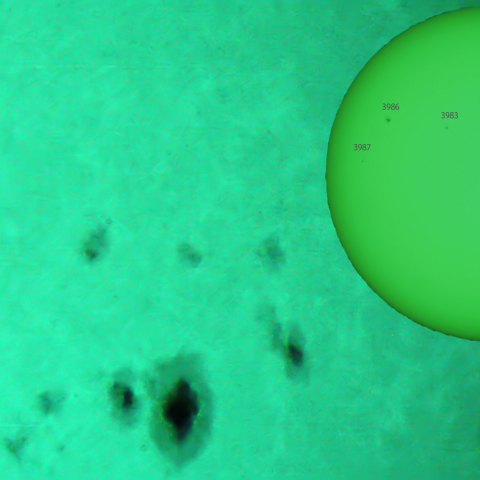 活動領域 3976,3978,3981：2025/02/08