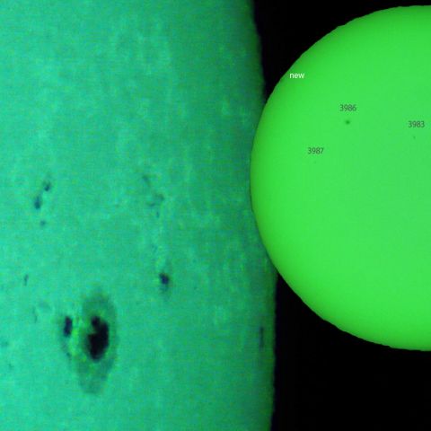 活動領域 3976,3978,3981：2025/02/09