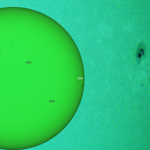 活動領域 3981：2025/02/10