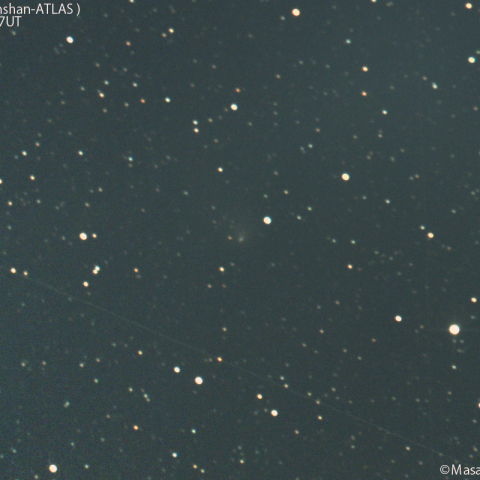 明け方の紫金山-アトラス彗星：2025/02/06