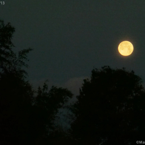 After Snow Moon：2025/02/13