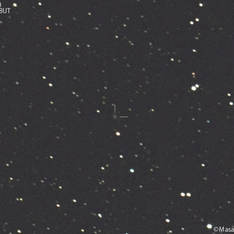 アトラス彗星 ( C/2021 G2 )：2025/02/06