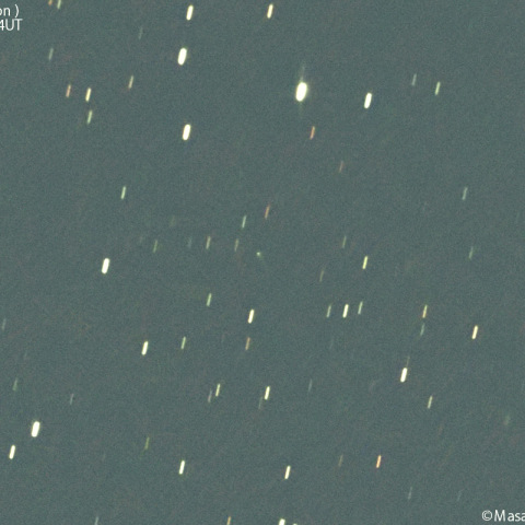 レモン彗星( C/2023H5 )：2025/02/06