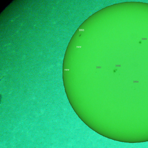 活動領域 3993：2025/02/15