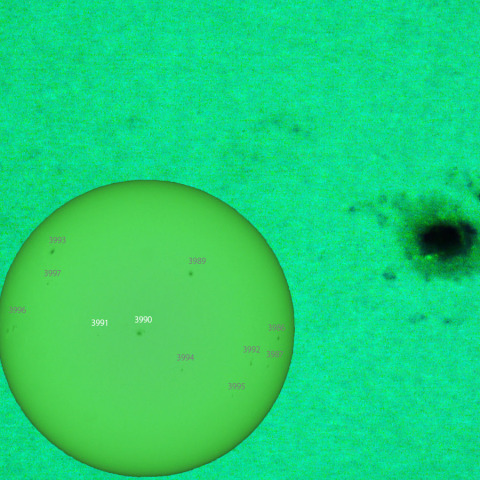 活動領域 3990,3991：2025/02/16