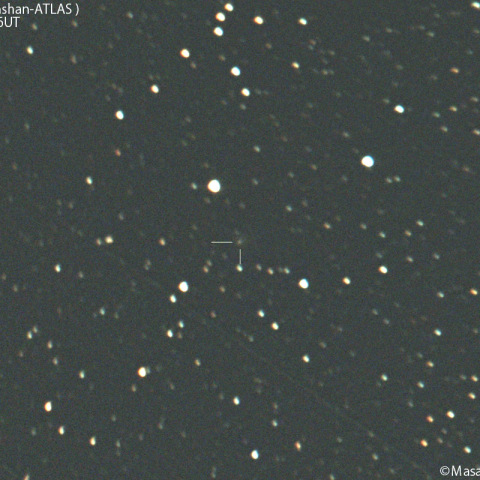 明け方の紫金山-アトラス彗星：2025/02/19