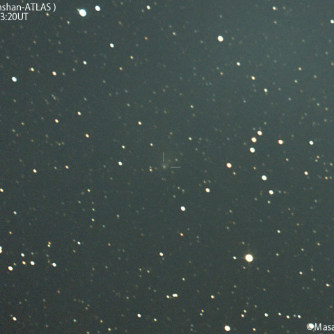 明け方の紫金山-アトラス彗星：2025/02/20