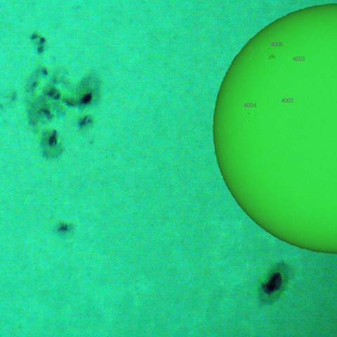 活動領域 3996,3998：2025/02/25