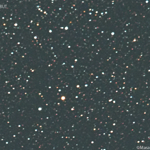 明け方のオルバース彗星 (13P):2025/02/25