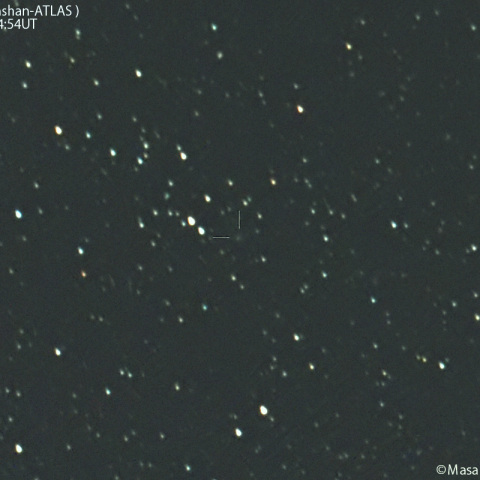 明け方の紫金山-アトラス彗星：2025/02/28